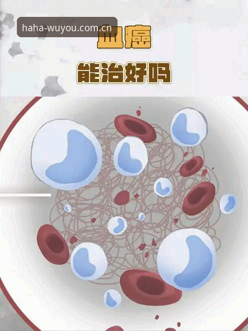 深度揭秘：最新哈哈体育信誉无忧中国官方主站网页版，你之前八成找错了门